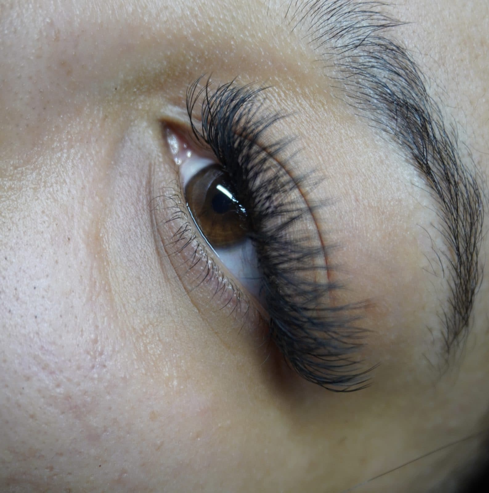 Dense volume lash set on a brown eye, close-up by 902 Beauty Bar, Dartmouth NS