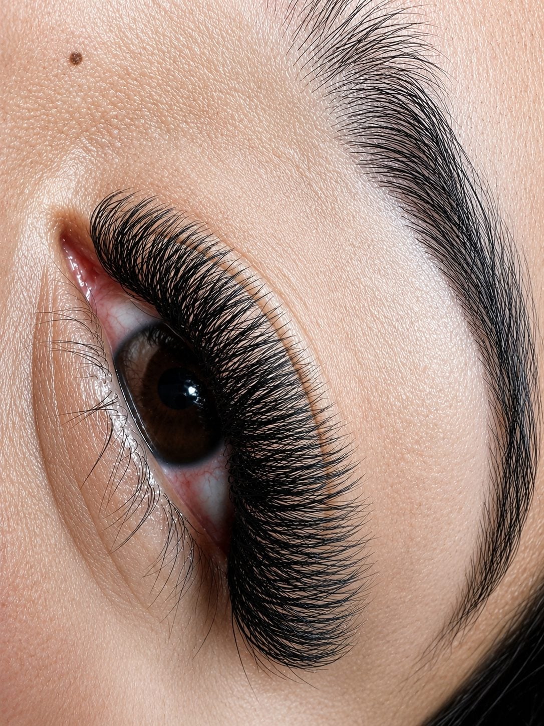 Dramatic volume lash set with brow, macro close-up by 902 Beauty Bar, Dartmouth NS